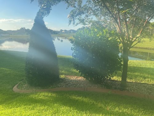 Lawn Services Brandon Fl 1366