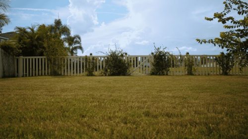 Lawn Services Brandon FL 137