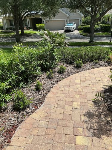 Lawn Services Brandon Fl 1370