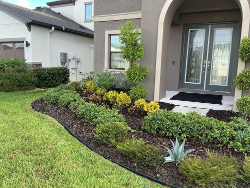 Lawn Services Brandon Fl 1371