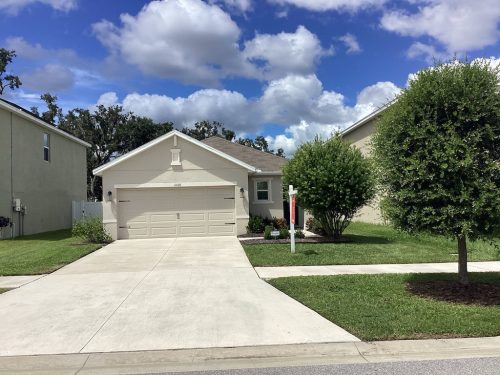 Lawn Services Brandon Fl 1374