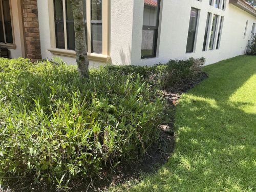 Lawn Services Brandon Fl 1377