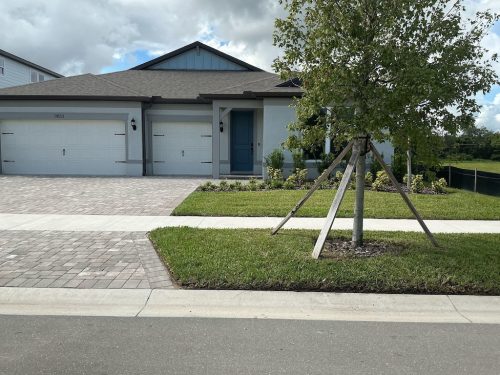 Lawn Services Brandon Fl 1379