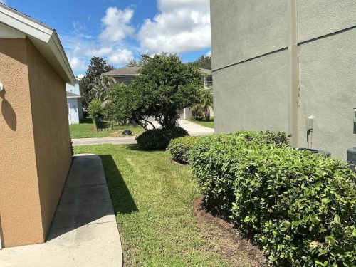 Lawn Services Brandon Fl 1380