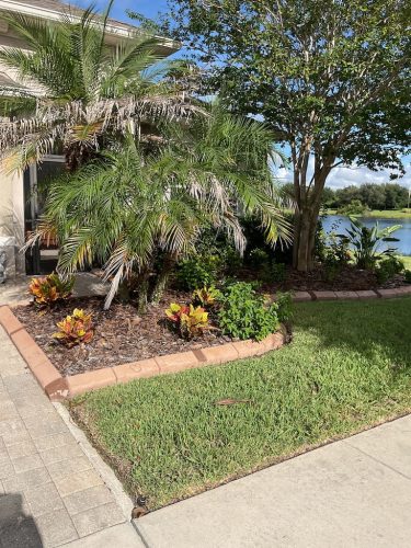 Lawn Services Brandon Fl 1383