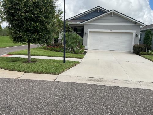 Lawn Services Brandon Fl 1386
