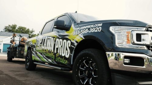 Lawn Services Brandon FL 139