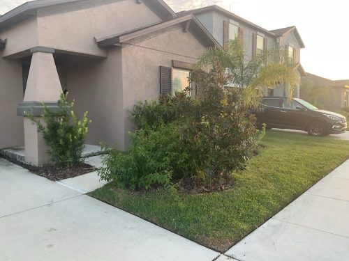 Lawn Services Brandon Fl 1392