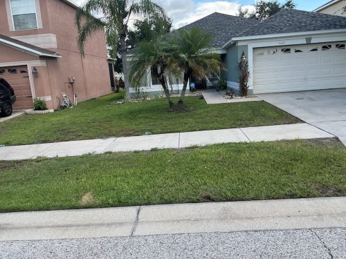 Lawn Services Brandon Fl 1393