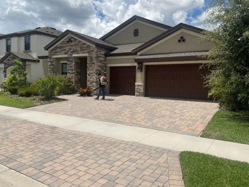 Lawn Services Brandon Fl 1394