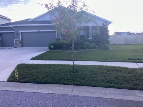 Lawn Services Brandon Fl 1401