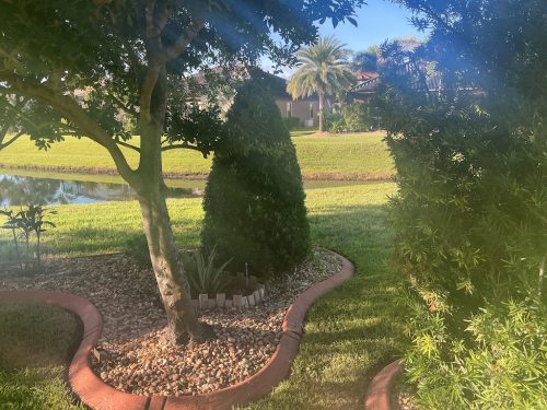 Lawn Services Brandon Fl 1406