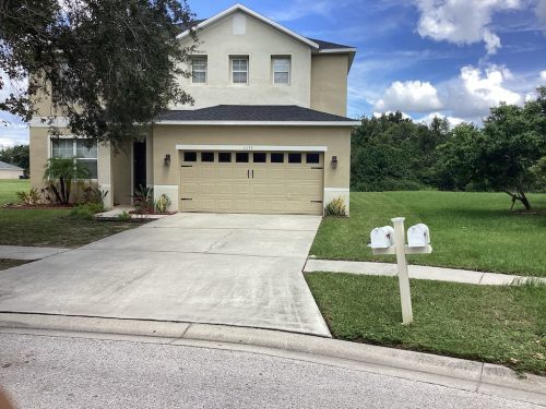 Lawn Services Brandon Fl 1408