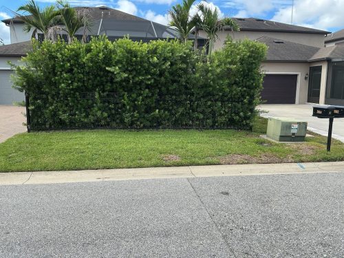 Lawn Services Brandon Fl 1409