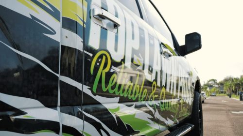 Lawn Services Brandon FL 141