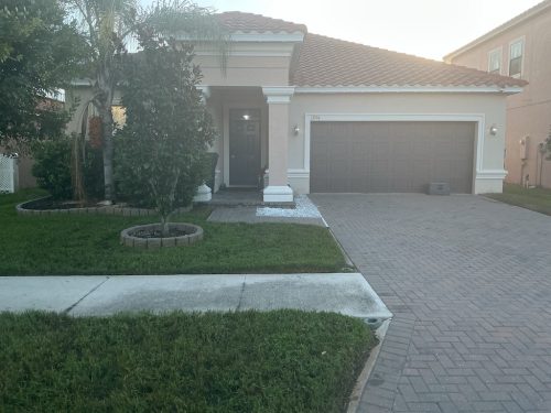 Lawn Services Brandon Fl 1416