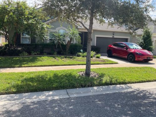 Lawn Services Brandon Fl 1418
