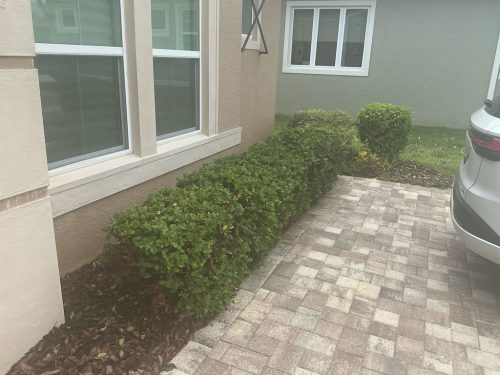 Lawn Services Brandon Fl 1419
