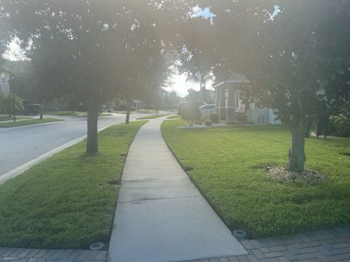 Lawn Services Brandon Fl 1423