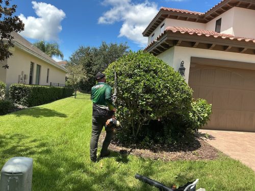 Lawn Services Brandon Fl 1426