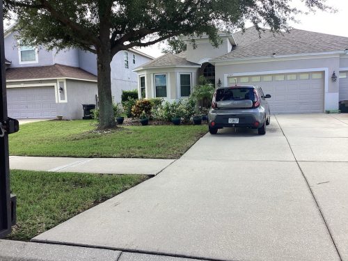 Lawn Services Brandon Fl 1429