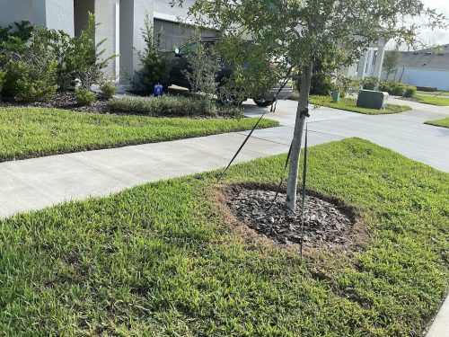 Lawn Services Brandon Fl 1432