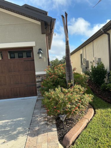 Lawn Services Brandon Fl 1436