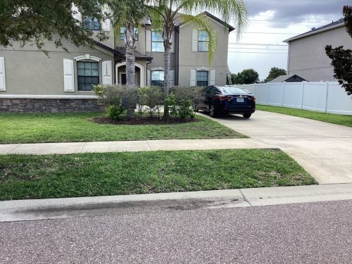 Lawn Services Brandon Fl 1438