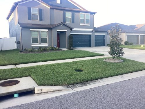 Lawn Services Brandon Fl 1439