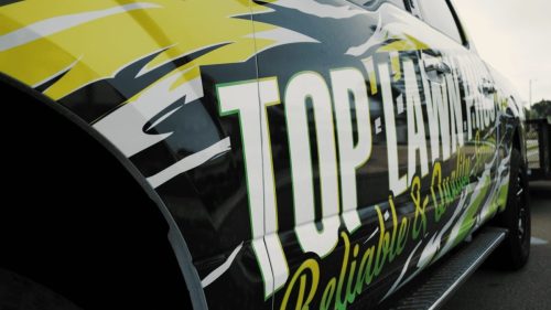 Lawn Services Brandon FL 144