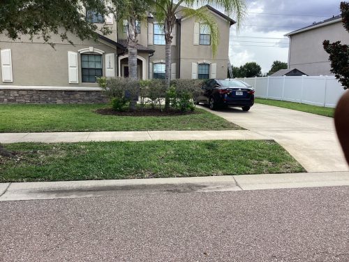 Lawn Services Brandon Fl 1444