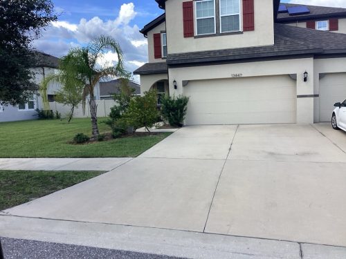 Lawn Services Brandon Fl 1445