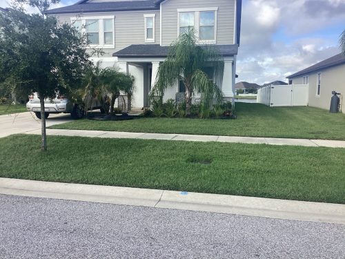Lawn Services Brandon Fl 1447