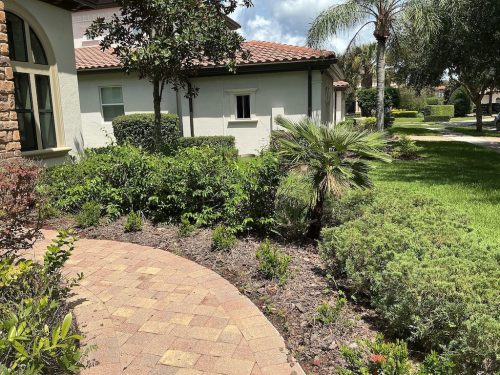 Lawn Services Brandon Fl 1448
