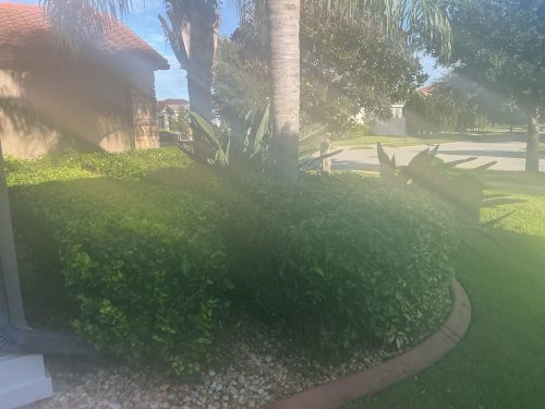 Lawn Services Brandon Fl 1449