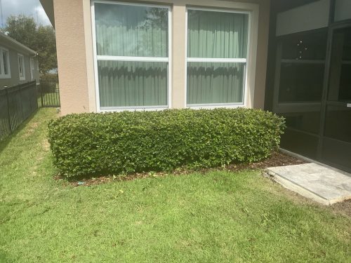 Lawn Services Brandon Fl 1451