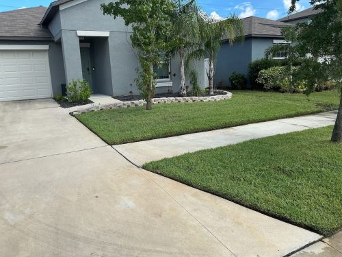 Lawn Services Brandon Fl 1452