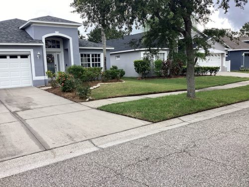 Lawn Services Brandon Fl 1453