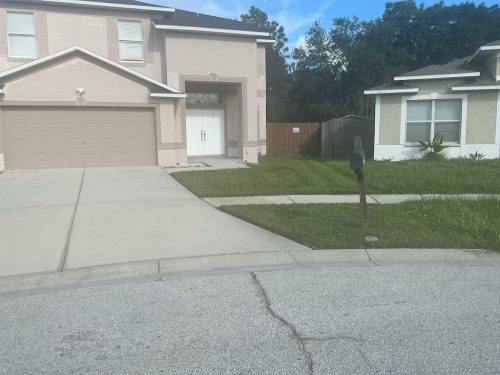 Lawn Services Brandon Fl 1456