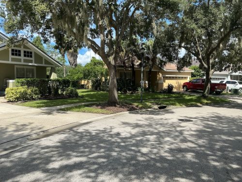 Lawn Services Brandon Fl 1457