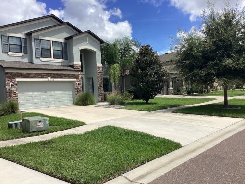 Lawn Services Brandon Fl 1459