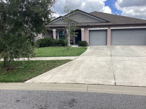 Lawn Services Brandon Fl 1461