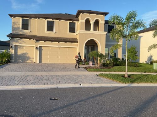 Lawn Services Brandon Fl 1462