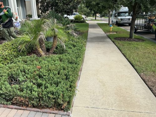 Lawn Services Brandon Fl 1465