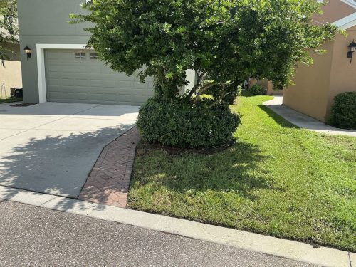 Lawn Services Brandon Fl 1466