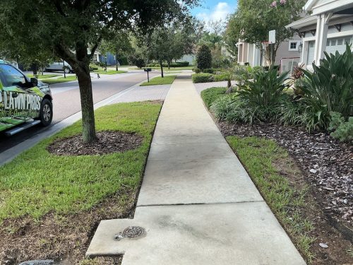 Lawn Services Brandon Fl 1468