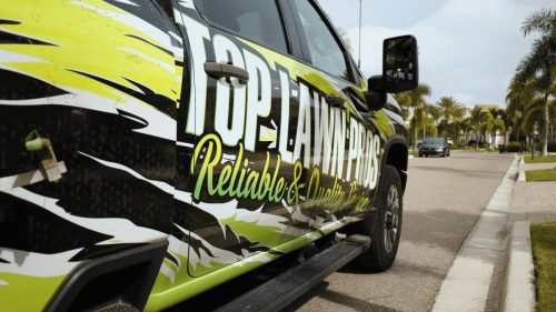 Lawn Services Brandon FL 147