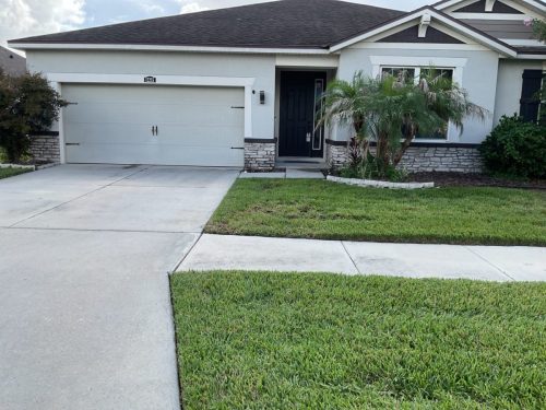 Lawn Services Brandon Fl 1470