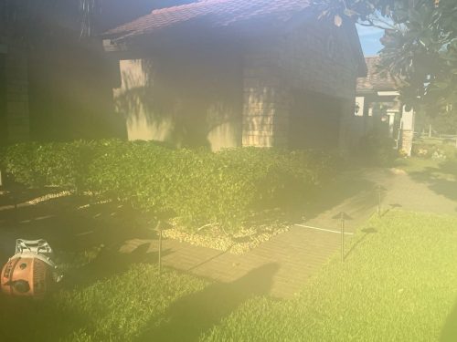 Lawn Services Brandon Fl 1472