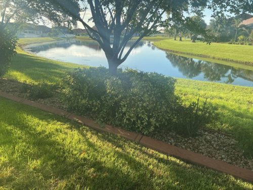 Lawn Services Brandon Fl 1474